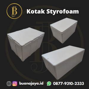 Styrofoam Kotak